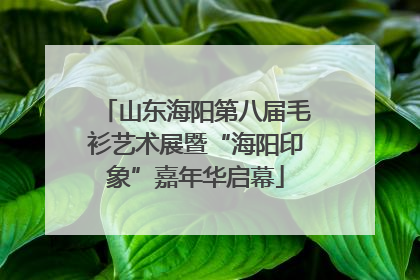 山东海阳第八届毛衫艺术展暨“海阳印象”嘉年华启幕