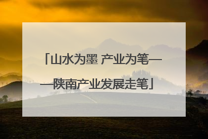 山水为墨 产业为笔——陕南产业发展走笔