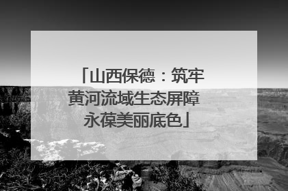 山西保德：筑牢黄河流域生态屏障 永葆美丽底色