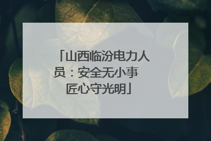 山西临汾电力人员：安全无小事 匠心守光明