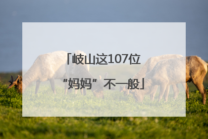 岐山这107位“妈妈”不一般