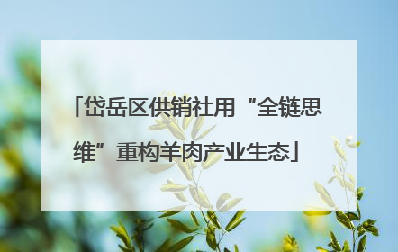岱岳区供销社用“全链思维”重构羊肉产业生态