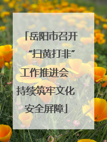 岳阳市召开“扫黄打非”工作推进会 持续筑牢文化安全屏障