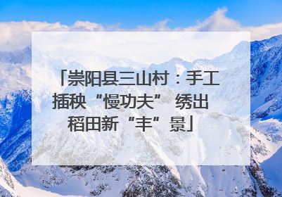 崇阳县三山村：手工插秧“慢功夫” 绣出稻田新“丰”景