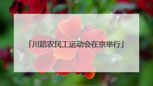 川籍农民工运动会在京举行