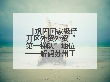 巩固国家级经开区外贸外资“第一梯队”地位——解码苏州工业园区样本