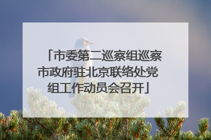 市委第二巡察组巡察市政府驻北京联络处党组工作动员会召开