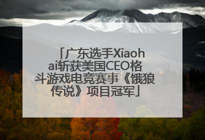 广东选手Xiaohai斩获美国CEO格斗游戏电竞赛事《饿狼传说》项目冠军