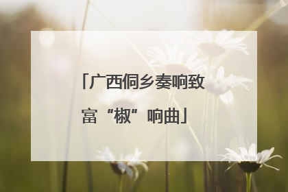 广西侗乡奏响致富“椒”响曲