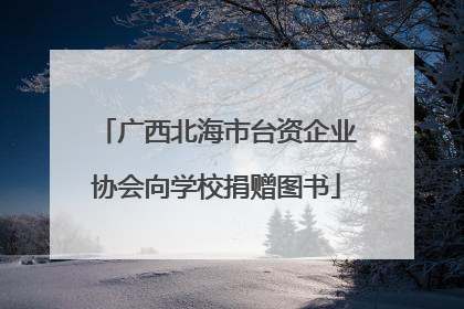广西北海市台资企业协会向学校捐赠图书