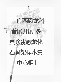 广西恐龙科普展开展 多具珍贵恐龙化石骨架标本集中亮相