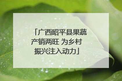 广西昭平县果蔬产销两旺 为乡村振兴注入动力