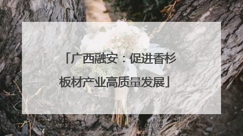 广西融安：促进香杉板材产业高质量发展