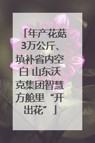 年产花菇3万公斤、填补省内空白 山东沃克集团智慧方舱里“开出花”
