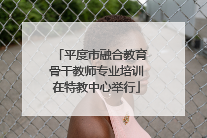 平度市融合教育骨干教师专业培训在特教中心举行