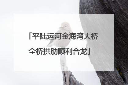 平陆运河金海湾大桥全桥拱肋顺利合龙