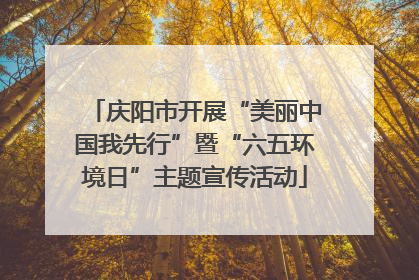庆阳市开展“美丽中国我先行”暨“六五环境日”主题宣传活动