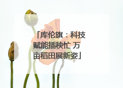 库伦旗：科技赋能插秧忙 万亩稻田展新姿