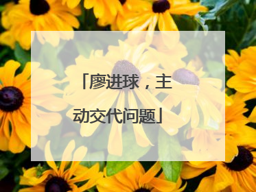 廖进球，主动交代问题