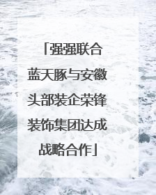 强强联合 蓝天豚与安徽头部装企荣锋装饰集团达成战略合作