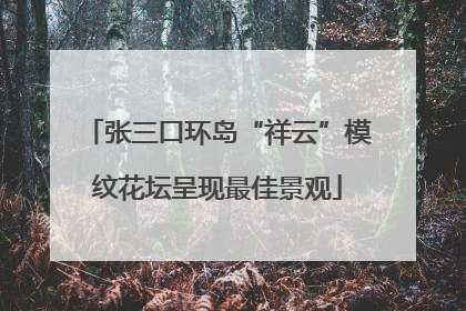 张三口环岛“祥云”模纹花坛呈现最佳景观