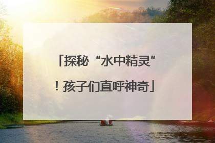 探秘“水中精灵”！孩子们直呼神奇