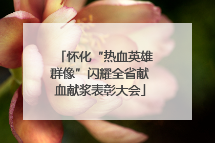 怀化“热血英雄群像”闪耀全省献血献浆表彰大会