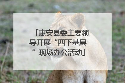 惠安县委主要领导开展“四下基层”现场办公活动