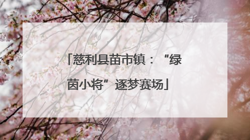 慈利县苗市镇：“绿茵小将”逐梦赛场