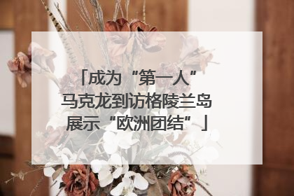 成为“第一人” 马克龙到访格陵兰岛展示“欧洲团结”