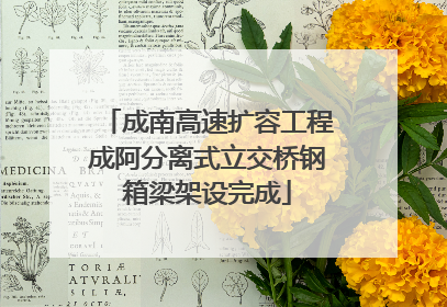 成南高速扩容工程成阿分离式立交桥钢箱梁架设完成