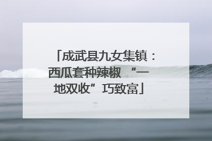 成武县九女集镇：西瓜套种辣椒 “一地双收”巧致富