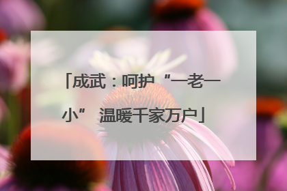 成武：呵护“一老一小” 温暖千家万户
