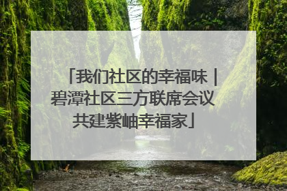 我们社区的幸福味｜碧潭社区三方联席会议共建紫岫幸福家