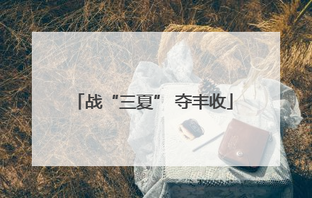 战“三夏” 夺丰收