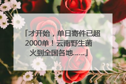 才开始，单日寄件已超2000单！云南野生菌火到全国各地……