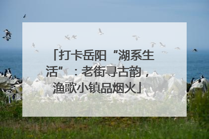 打卡岳阳“湖系生活”：老街寻古韵，渔歌小镇品烟火