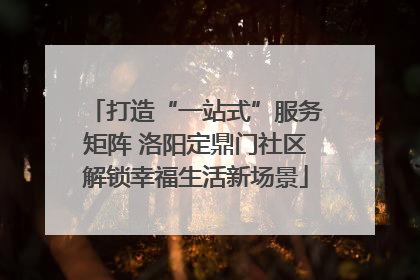 打造“一站式”服务矩阵 洛阳定鼎门社区解锁幸福生活新场景