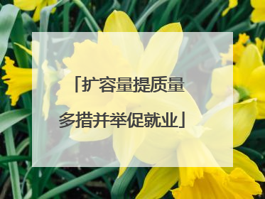 扩容量提质量 多措并举促就业