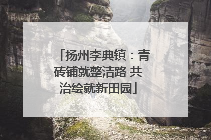 扬州李典镇：青砖铺就整洁路 共治绘就新田园