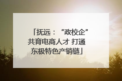 抚远：“政校企”共育电商人才 打通东极特色产销链