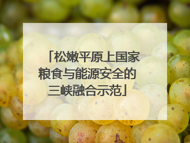 松嫩平原上国家粮食与能源安全的三峡融合示范