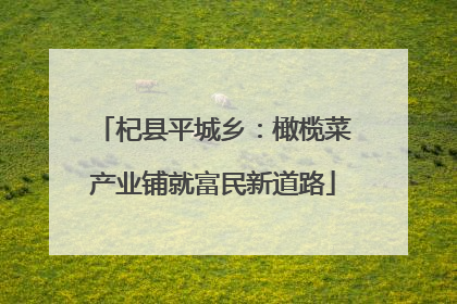 杞县平城乡：橄榄菜产业铺就富民新道路