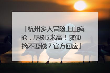 杭州多人冒险上山疯抢，爬树5米高！随便摘不要钱？官方回应
