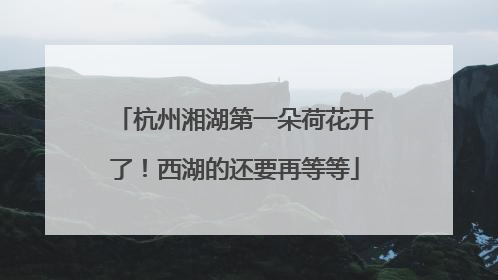 杭州湘湖第一朵荷花开了！西湖的还要再等等