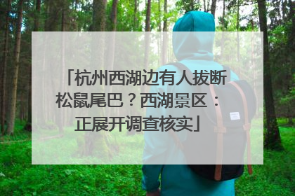 杭州西湖边有人拔断松鼠尾巴？西湖景区：正展开调查核实