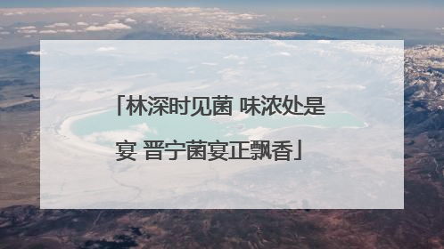 林深时见菌 味浓处是宴 晋宁菌宴正飘香