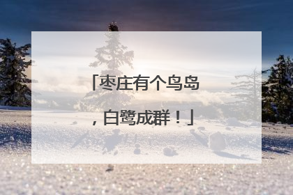枣庄有个鸟岛，白鹭成群！