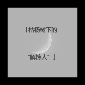 枯杨树下的“解铃人”