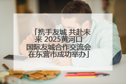 携手友城 共赴未来 2025黄河口国际友城合作交流会在东营市成功举办